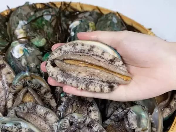 전복, 양파 (다양/무료)