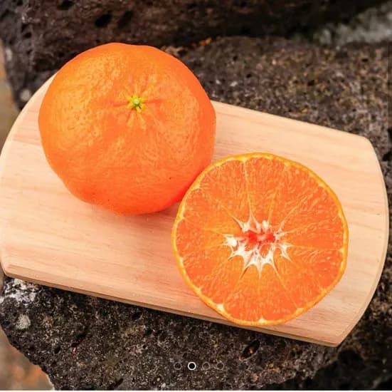 레드향 실속형 2kg (12,290원/무료)