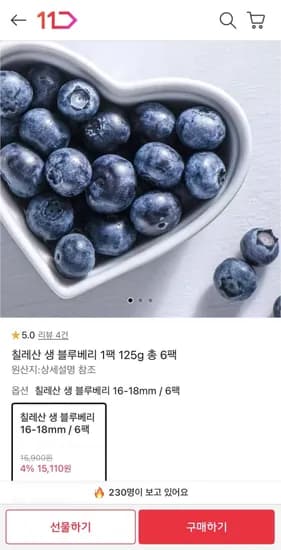 칠레산 생 블루베리 6-18mm 125g 총 6팩 (15,110원/무료)1