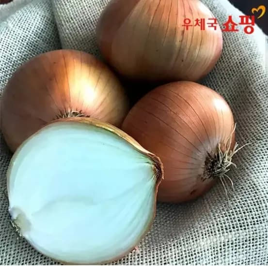무안 황토밭 햇양파 3kg (3,990원~/무료)