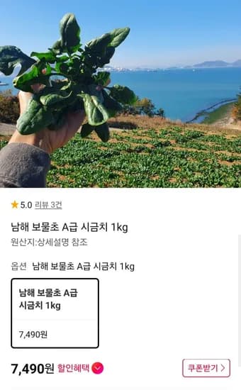 남해 보물초 시금치 kg A급 (7,490원/무료)1