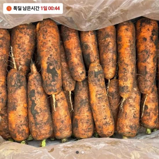 못난이 제주당근 주스용 (7,900원)