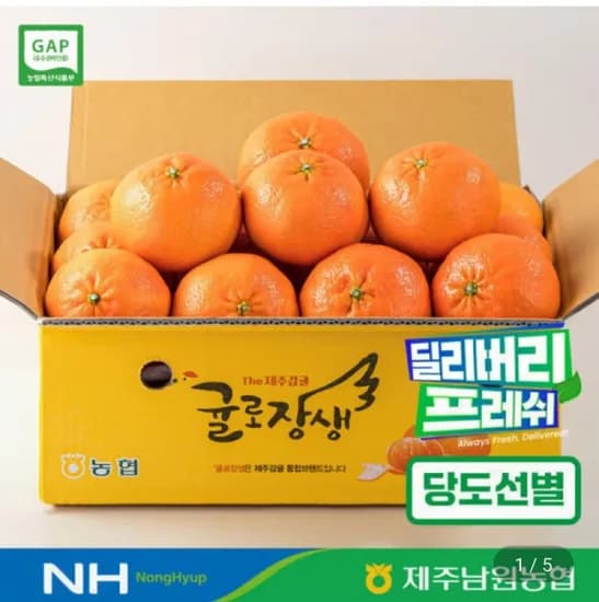 레드향 중과 kg (16,480원/무료)2