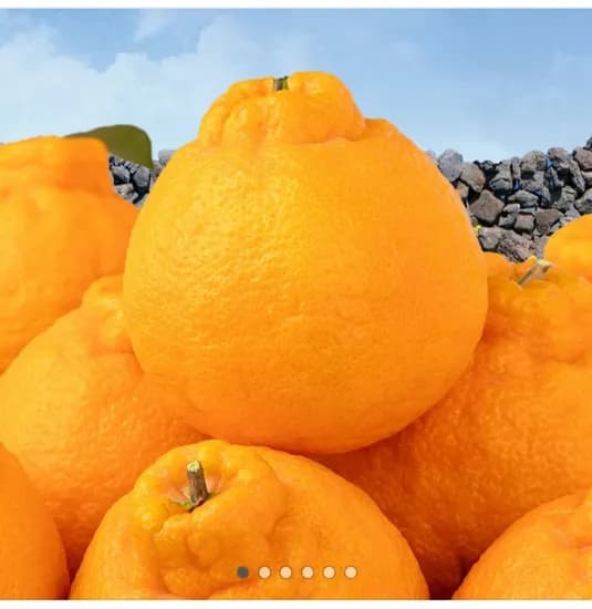 제주 가정용 한라봉 2kg (7,900원/무료)