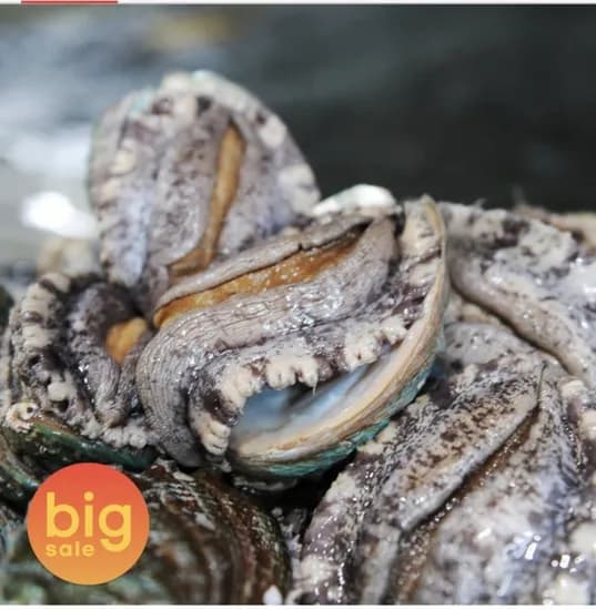 완도 참전복 대왕특대 6~7미 1kg (21,40원/무료)8