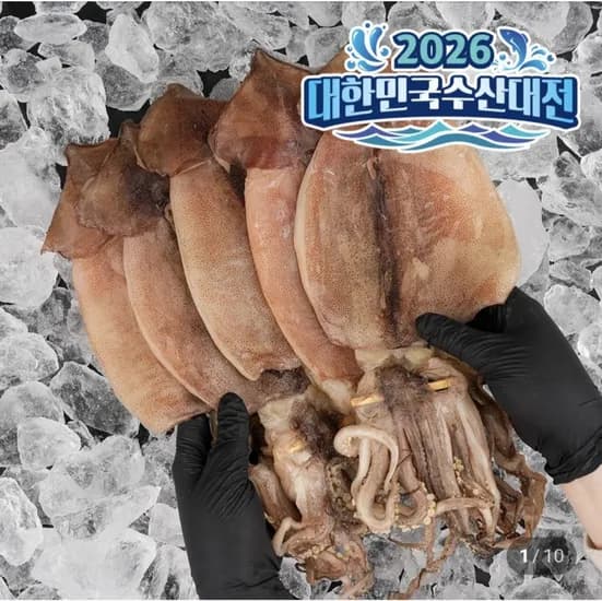 반건조 오징어 소소 10미 500g (7,950원/,500원)3