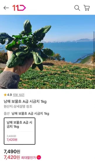 남해 보물초 시금치 1kg (7,420원 / 무배)