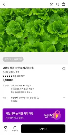로메인청상추 특품 정량 (6,900원/무배)