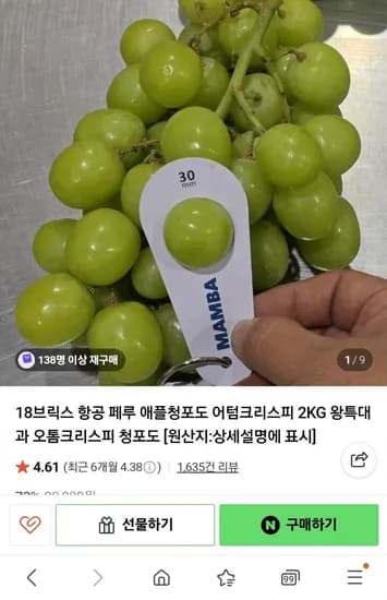 항공직수입 페루 애플청포도 어텀크리스피 2KG 왕특대과 (20,900원/3,500원)