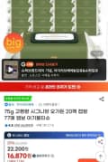 아기물티슈 시그니앙 오가든 77매 20개 (16,870원/무배)