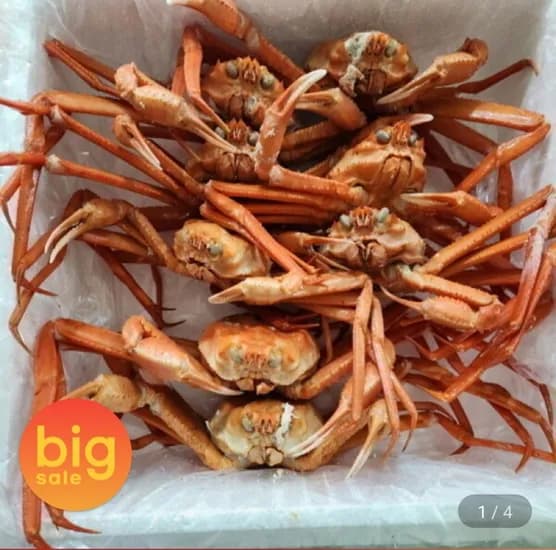 후포리 박달홍게 4kg (26,960원/무료)