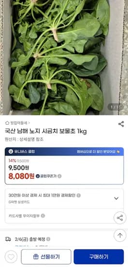 국산 남해 노지 시금치 1kg (유클 8,080원/무료)