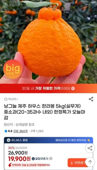 제주 하우스 한라봉 5kg (유클가 19,900원 / 무배)