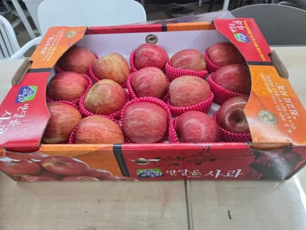 명품 사과선물세트 5kg (14-16과) (56,900원/무배)