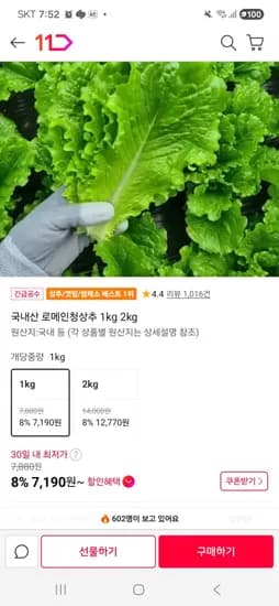 국내산로메인청상추1kg(7190/무배)