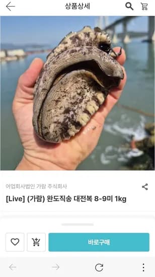 완도직송 대전복 8-9미 1kg (16,740원/무배)