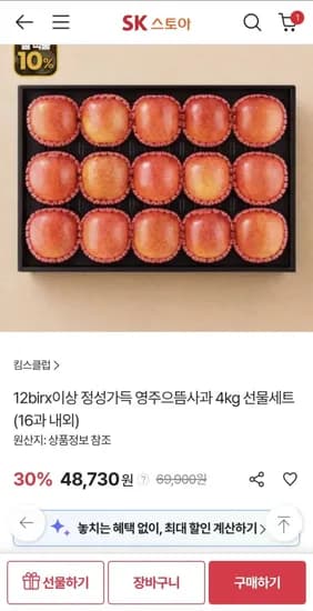 영주으뜸사과 4kg 선물세트 (43,281원/무료)