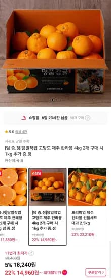 당일작업 고당도 제주 한라봉 4kg (14,960원/무배)