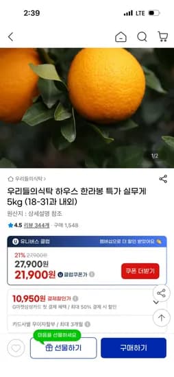 실중량 한라봉 5kg (유클 21,900원/무배)