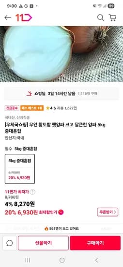 무안 황토밭 햇양파 크고 달큰한 양파 5kg 중대혼합  6,930원/ 무료배송
