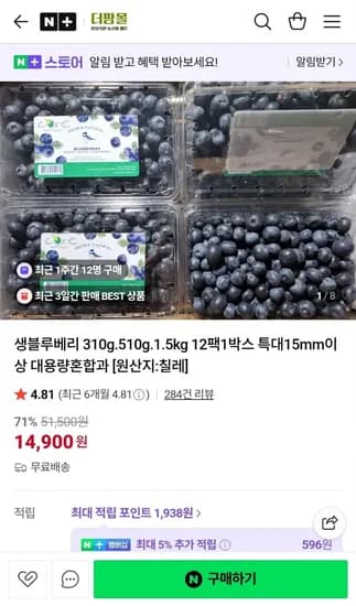 생블루베리 125g x 12팩 특대 15mm이상 (29,900원/무배)