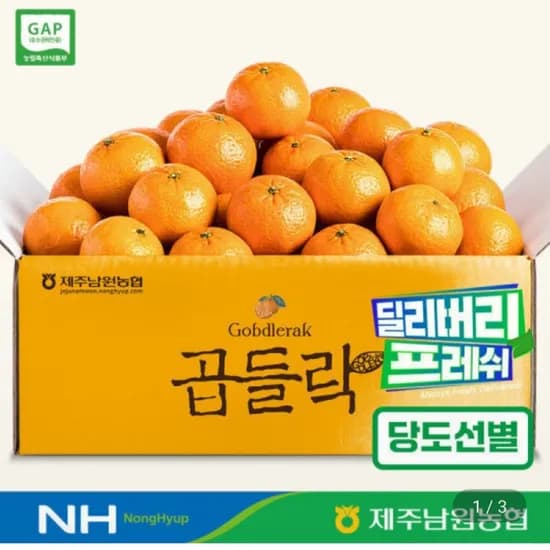 비가림감귤 L~3L 대과 2.5kg (9,900원/무료)