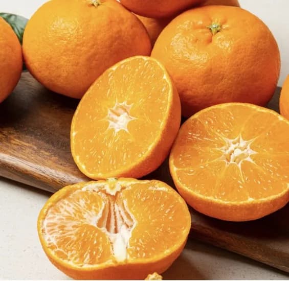 레드향 3kg 중과 가정용 (15,120원/무료)