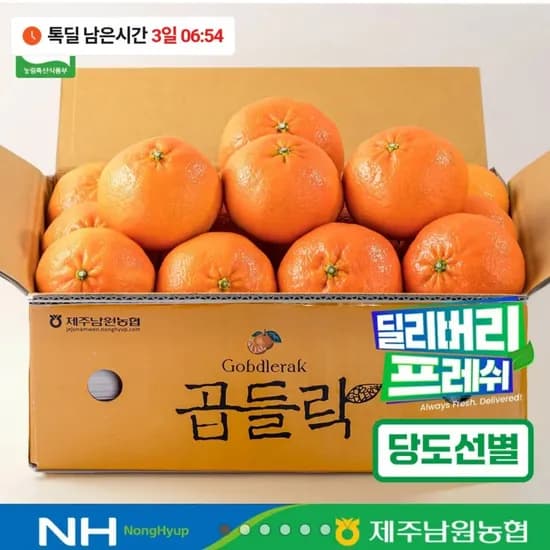 레드향 중과 2kg (16,900원/무료)