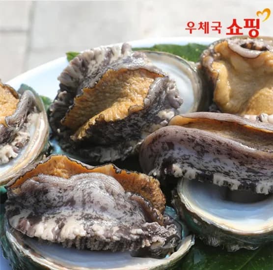 완도 활 전복 1kg 9-10미