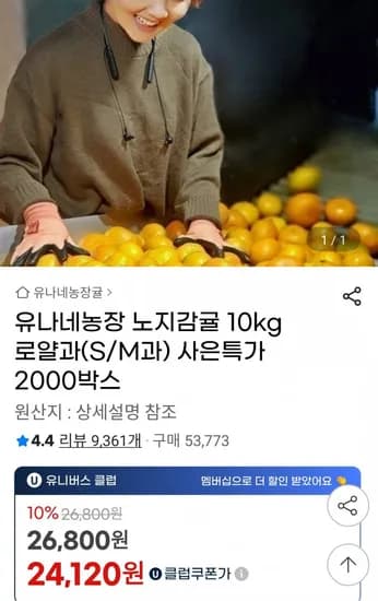 노지감귤 로얄과 10kg