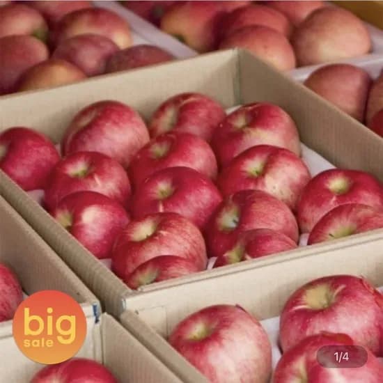 당도보장 경북 사과 부사 가정용 대과 5kg