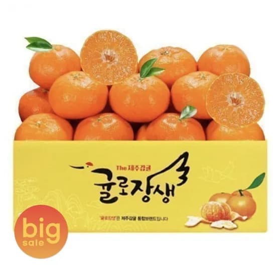 제주 레드향 3kg 중소과