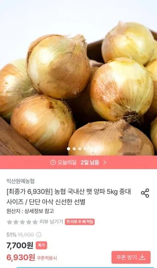 농협 국내산 햇 양파 5kg 중대사이즈
