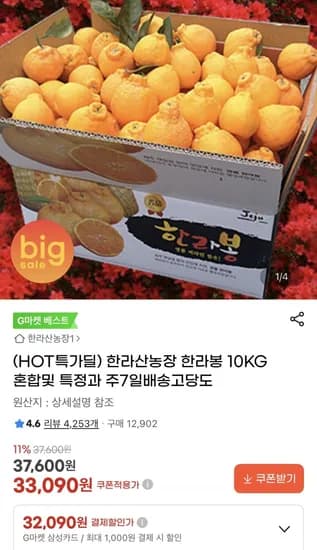 한라산농장 한라봉 10kg 혼합
