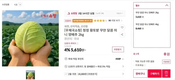 청정 황토밭 무안 달콤 미니 양배추 kg