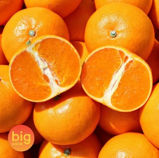 천혜향 3kg 중소과