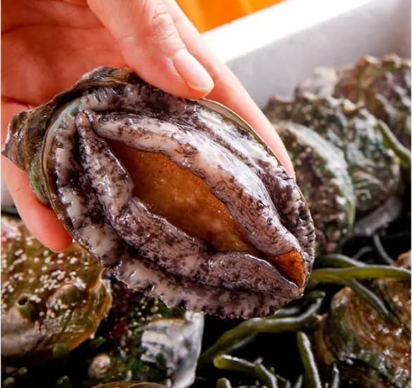 장어 전복 참굴비 곱창김 도시락김 외 다양