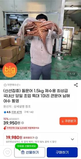 돌문어 제수용 1.5kg 1마리