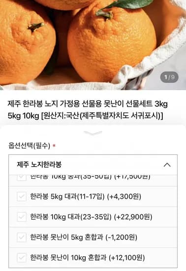 노지 한라봉 5kg 중과 17~25과