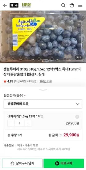 생블루베리 25g x 12팩 특대 15mm