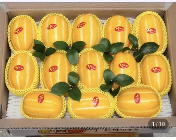 참외 2kg 실속형