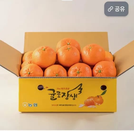 제주남원농협 곱들락 레드향 중과 2KG (15,900원/무료)