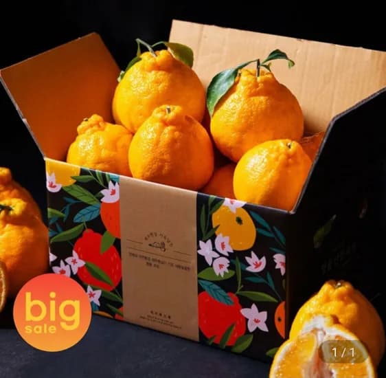 한라봉 2.5kg 중소과 (0,740원/무료)1