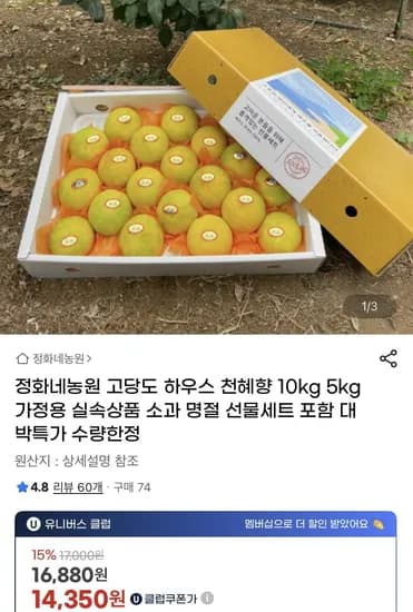 하우스 천혜향, 한라봉 3kg 소과 (유클14,350원~/무배)