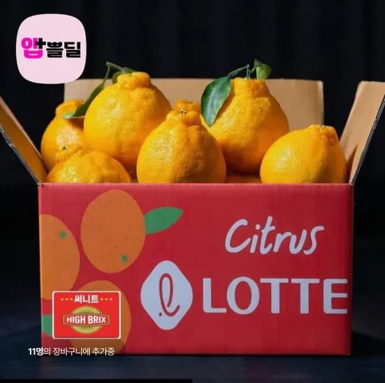 고당도 써니트 한라봉 2.5kg (19,500원/무료)
