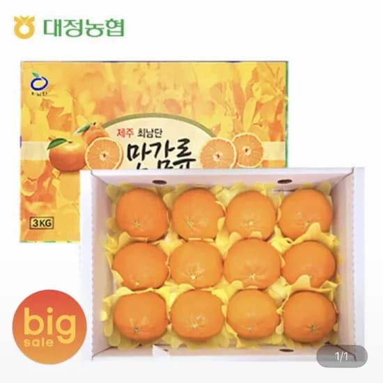 서귀포 대정농협 레드향 선물세트 3kg (25,520원/무배)
