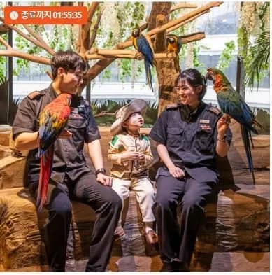 애니멀 파크 주렁주렁 1인권 4개지점 오늘만 특가 (15,900원/무료)