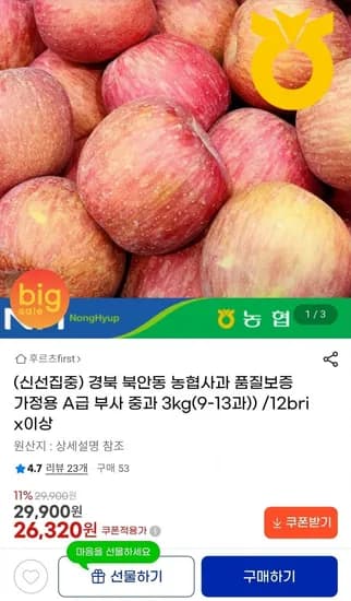 경북 북안동 농협사과 가정용 A급 3kg (26,320원/무배)