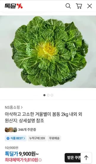 진도 봄동 kg 내외 (9,810원/무료)2