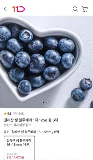 칠레산 생 블루베리 1.kg (14,070원 / 무배)5